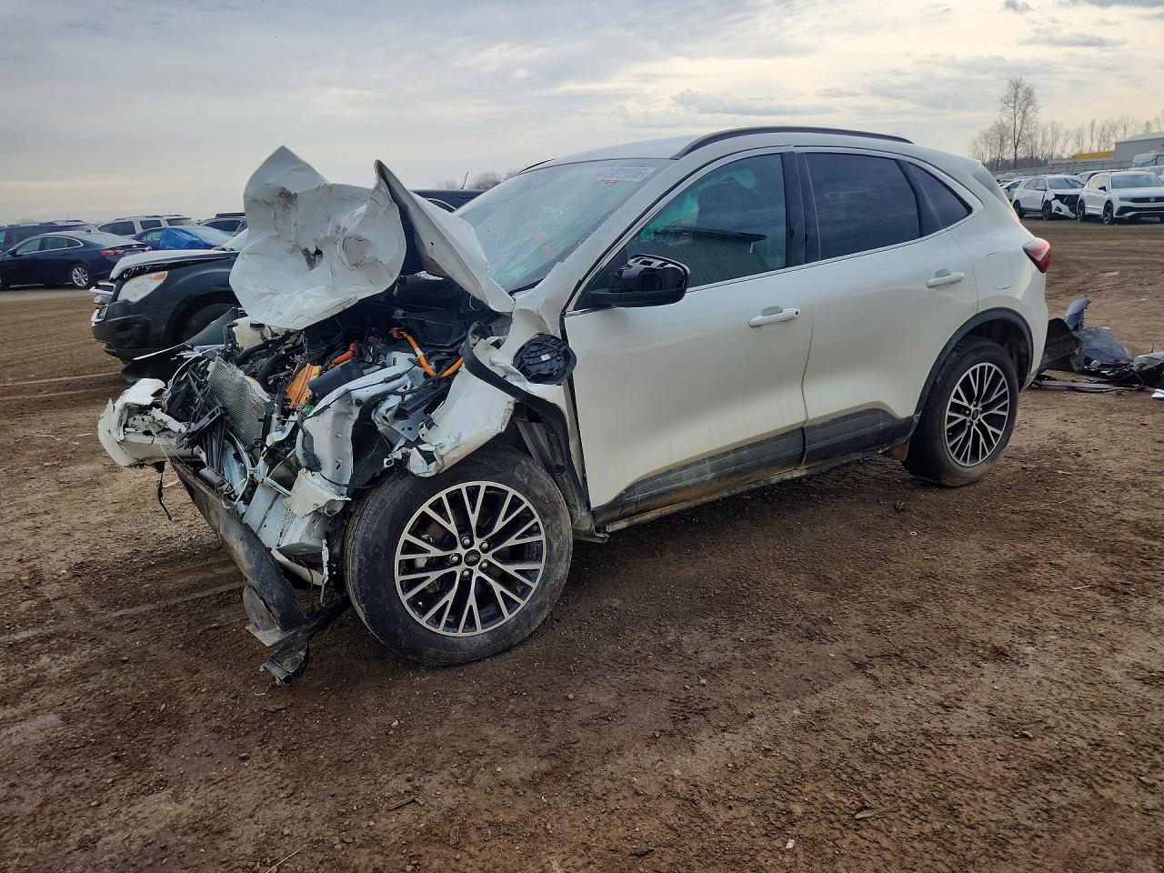 Salvage Ford Escape Image
