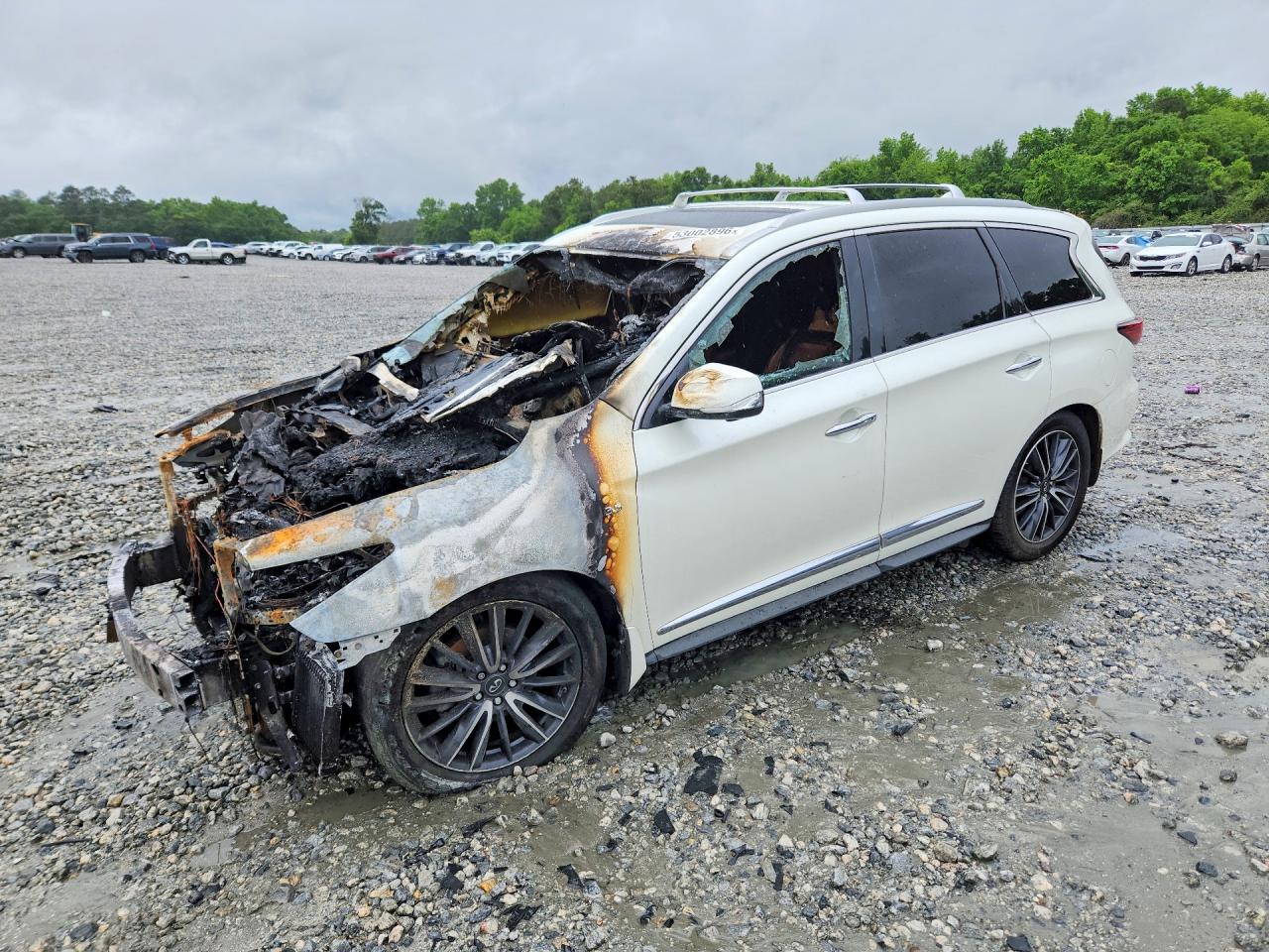 Salvage INFINITI Qx Image