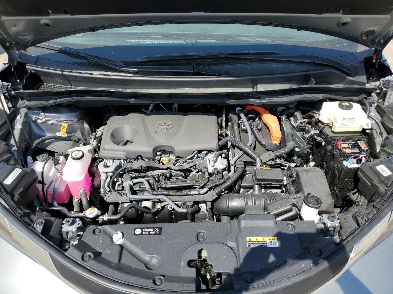 Toyota Sienna Xle 7-passenger