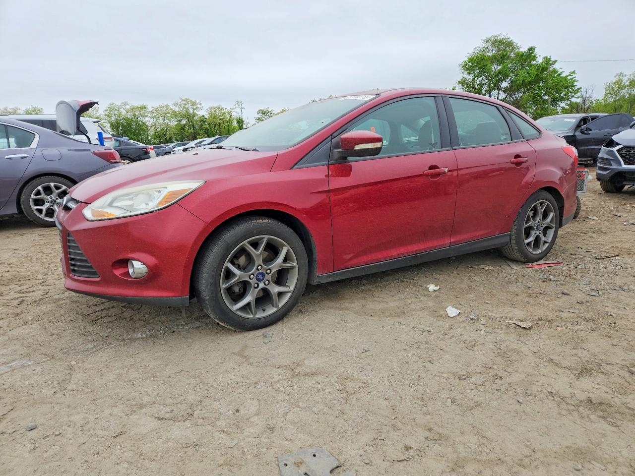 Salvage Ford Focus Image