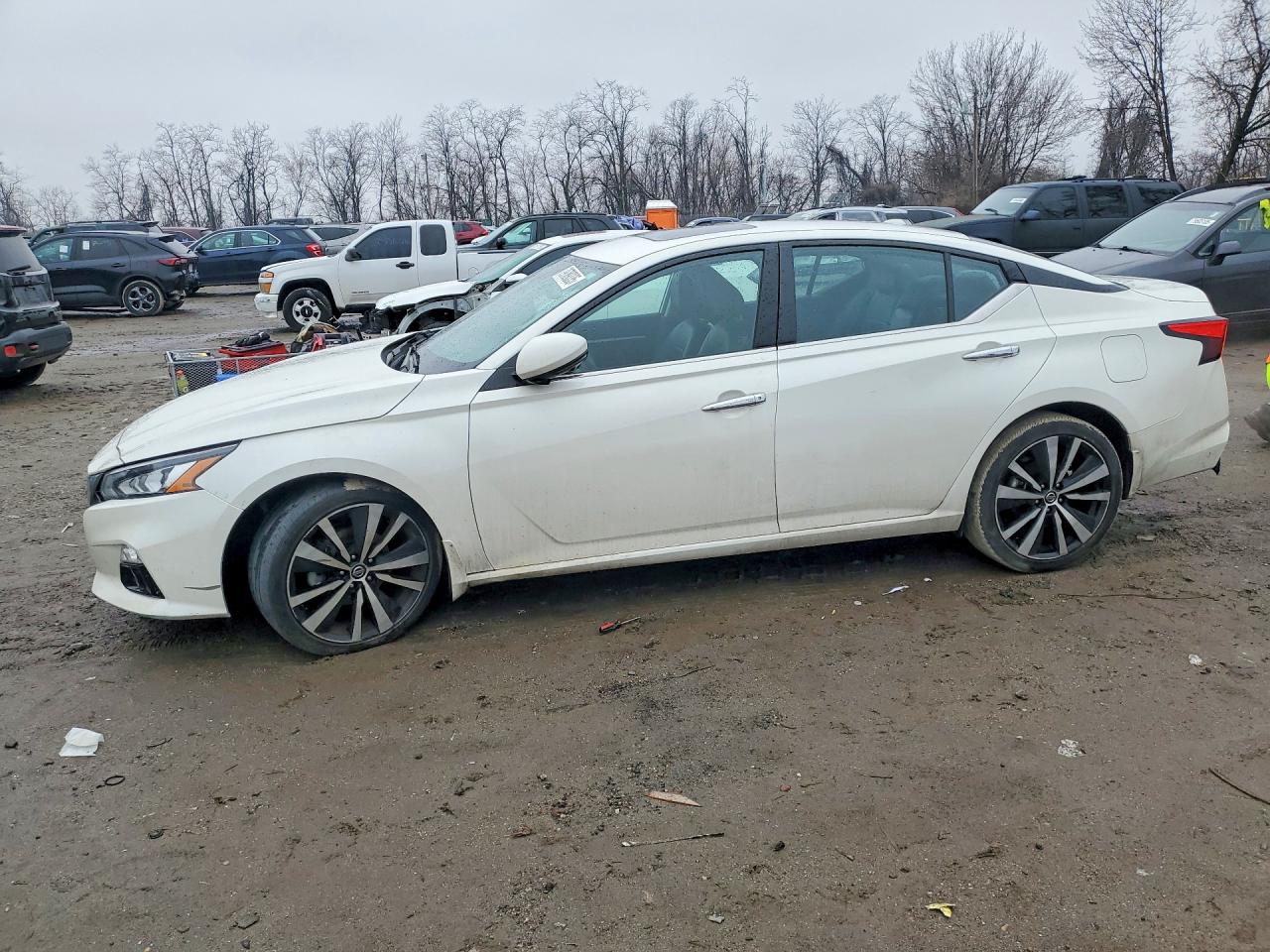 Salvage Nissan Altima Image