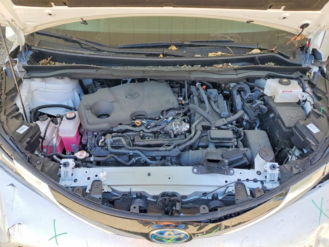 Toyota Sienna Limited 7-passenger