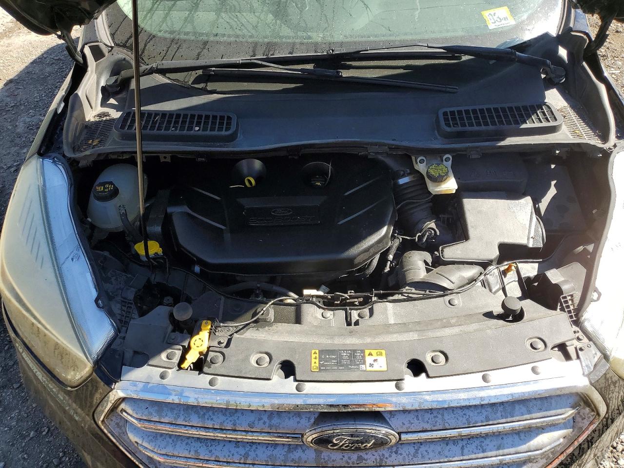 Ford Escape Se