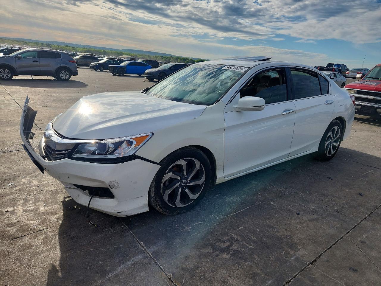 Salvage Honda Accord Image
