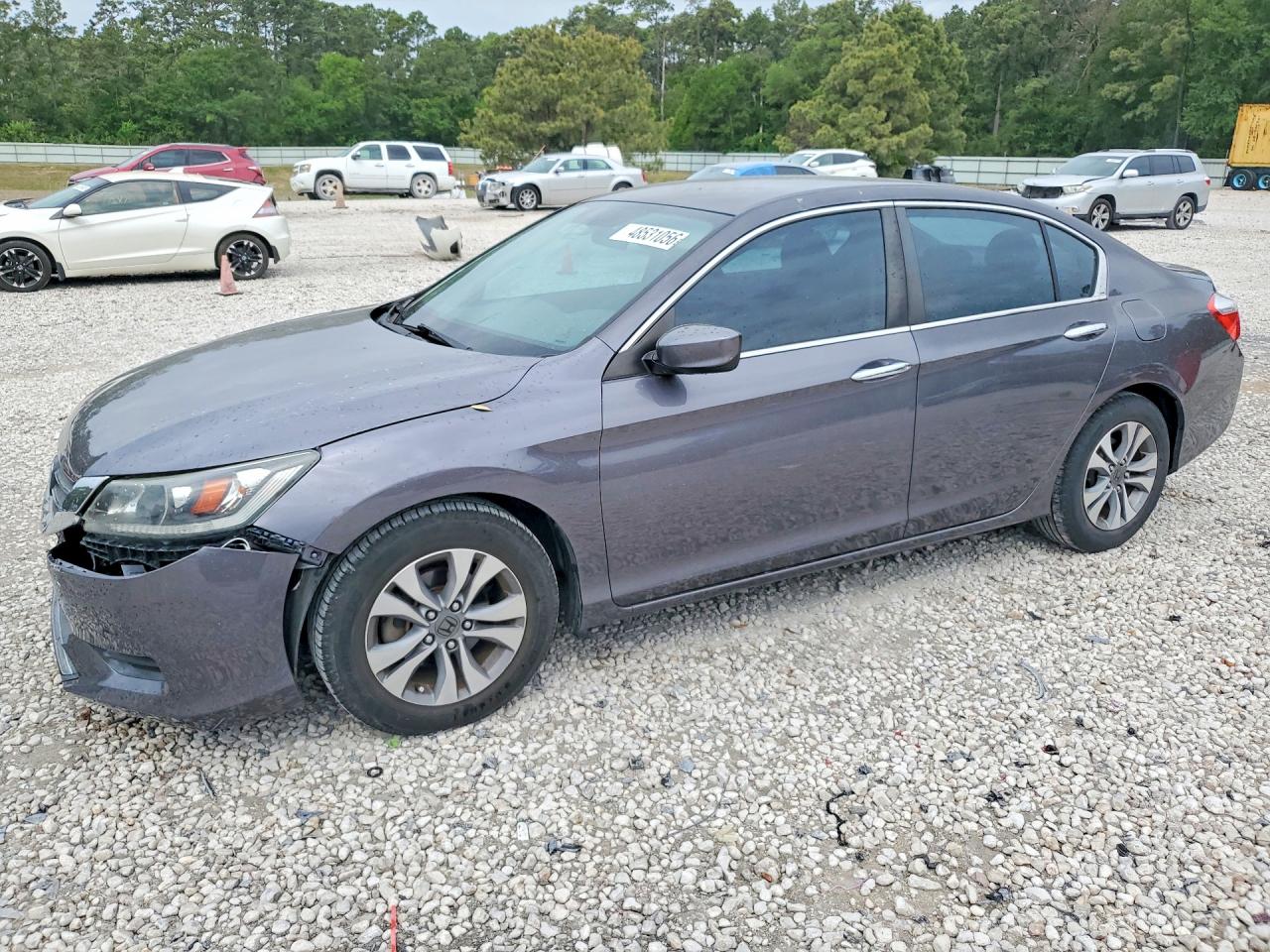 Salvage Honda Accord Image