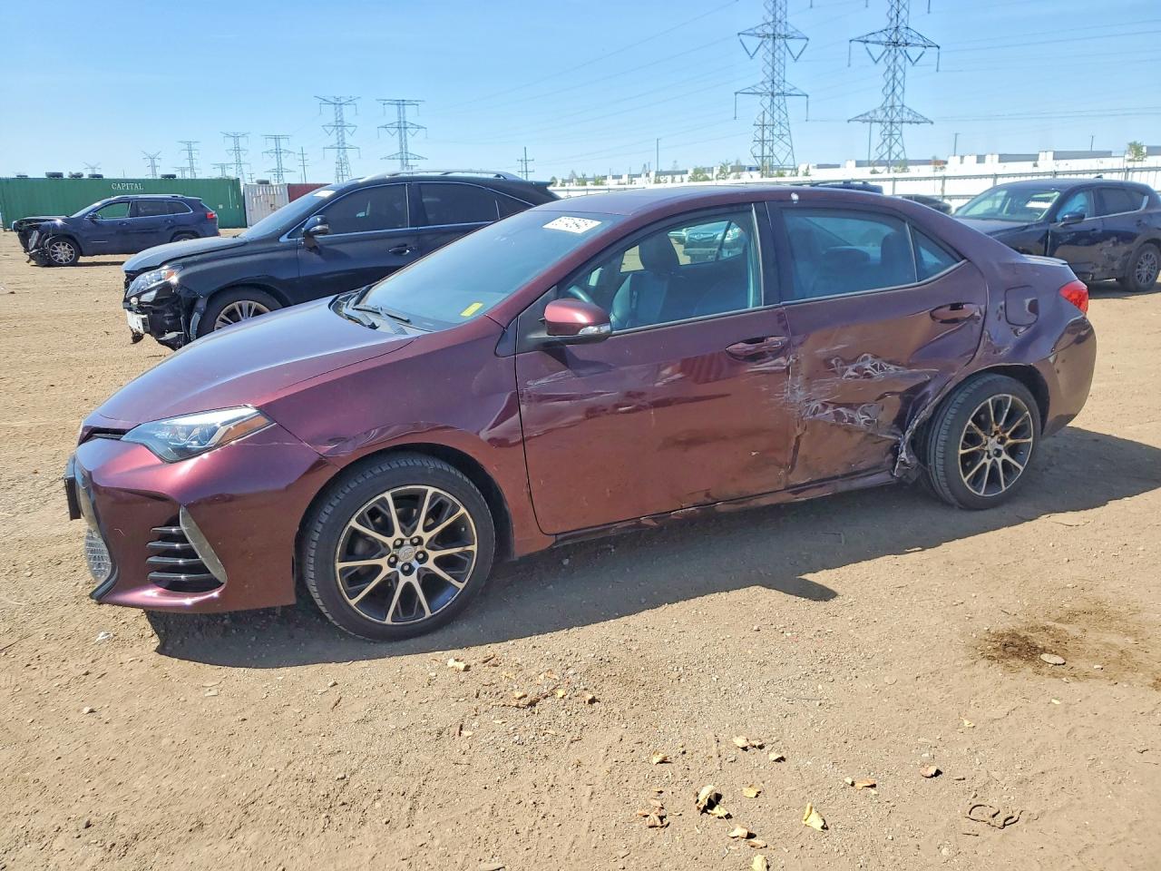 Salvage Toyota Corolla Image
