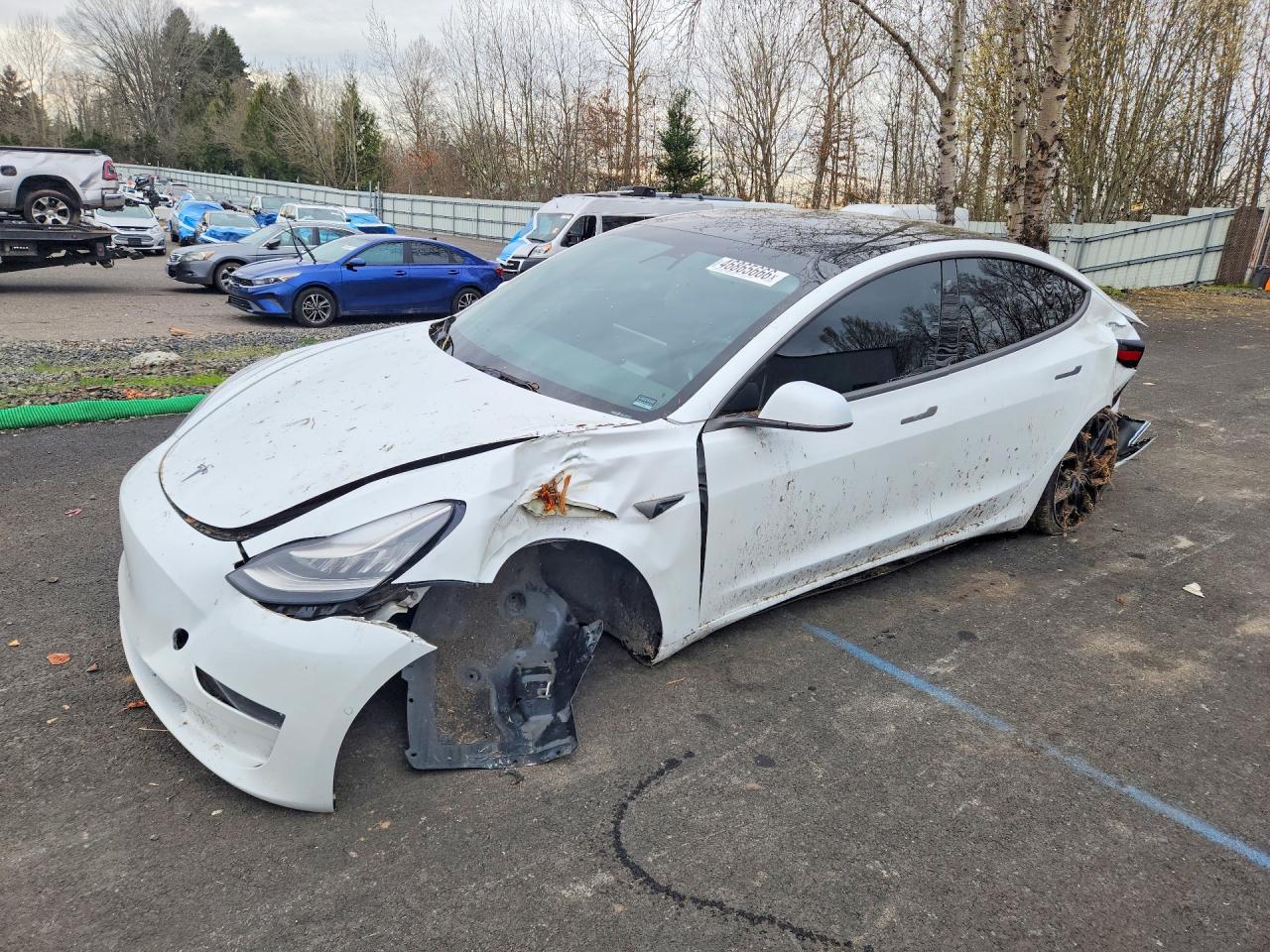 Salvage Tesla Model 3 Image