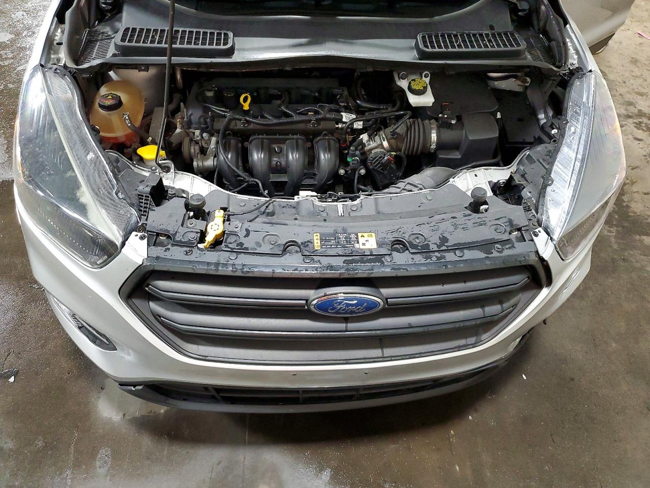 Ford Escape S