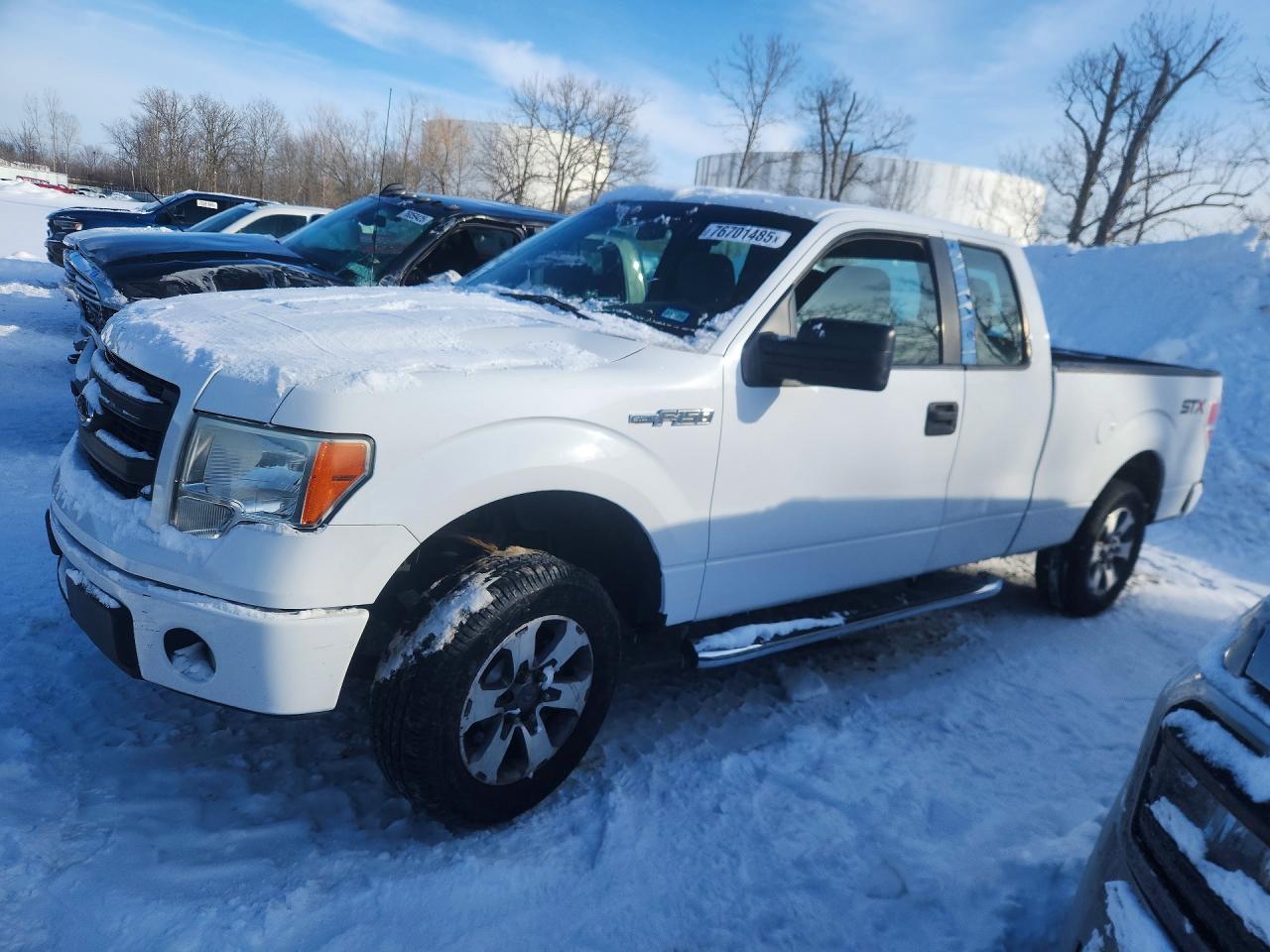Salvage Ford F-150 Image
