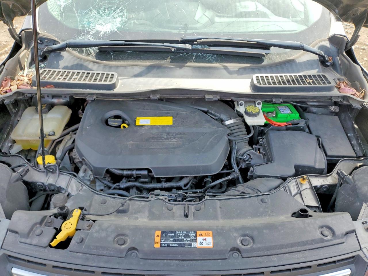 Ford Escape Se