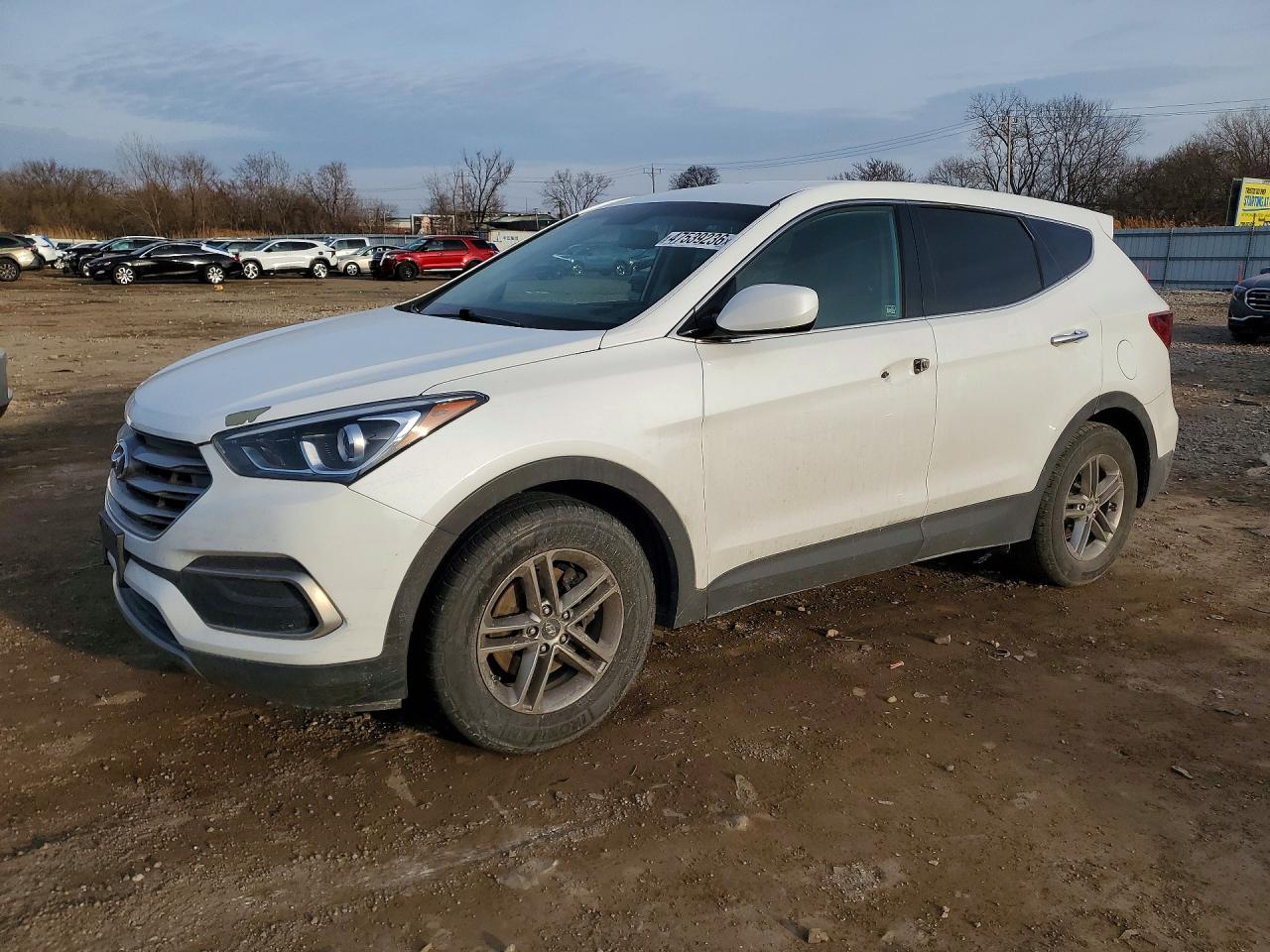 Salvage Hyundai SANTA FE Image