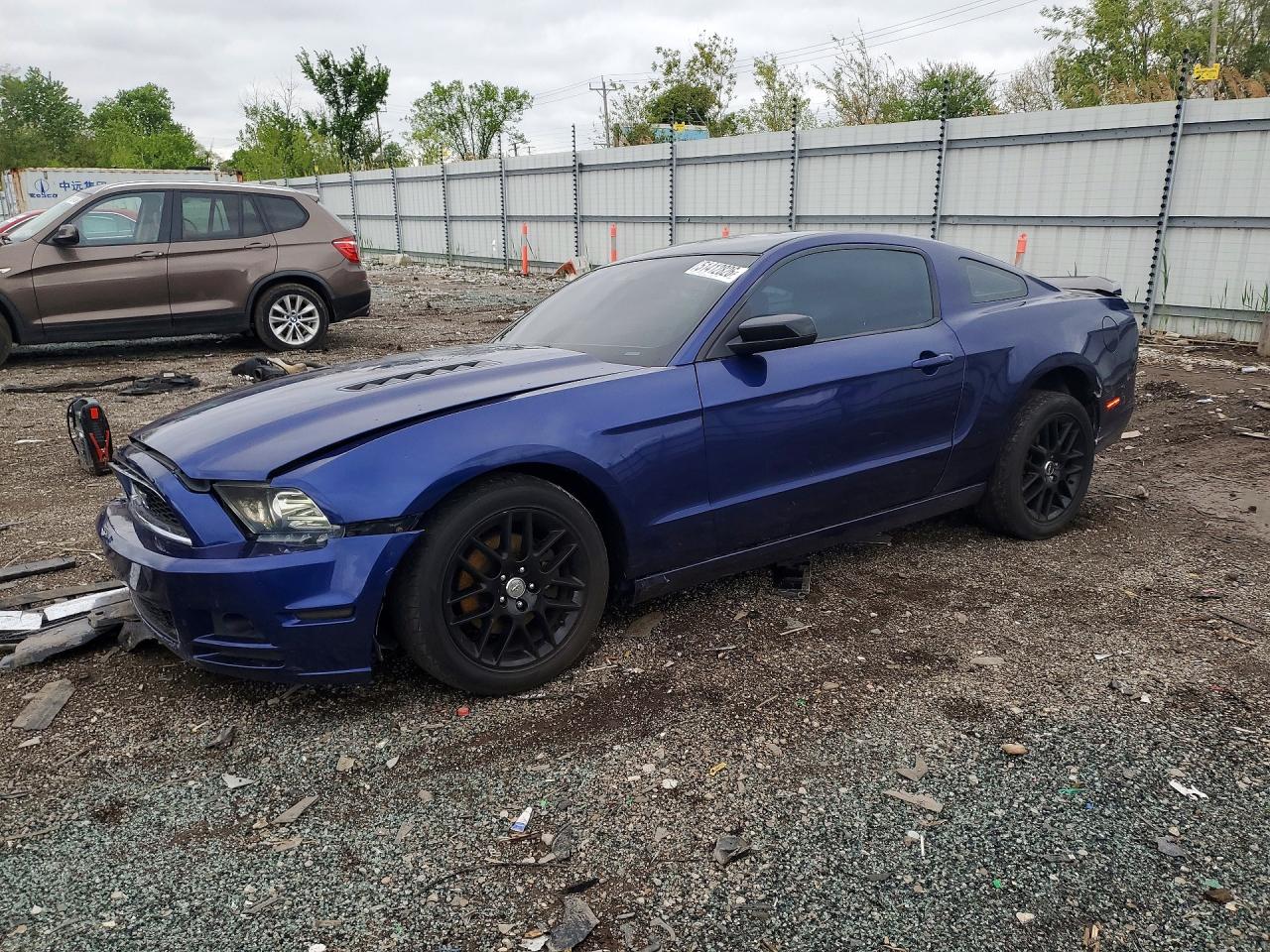 Salvage Ford Mustang Image