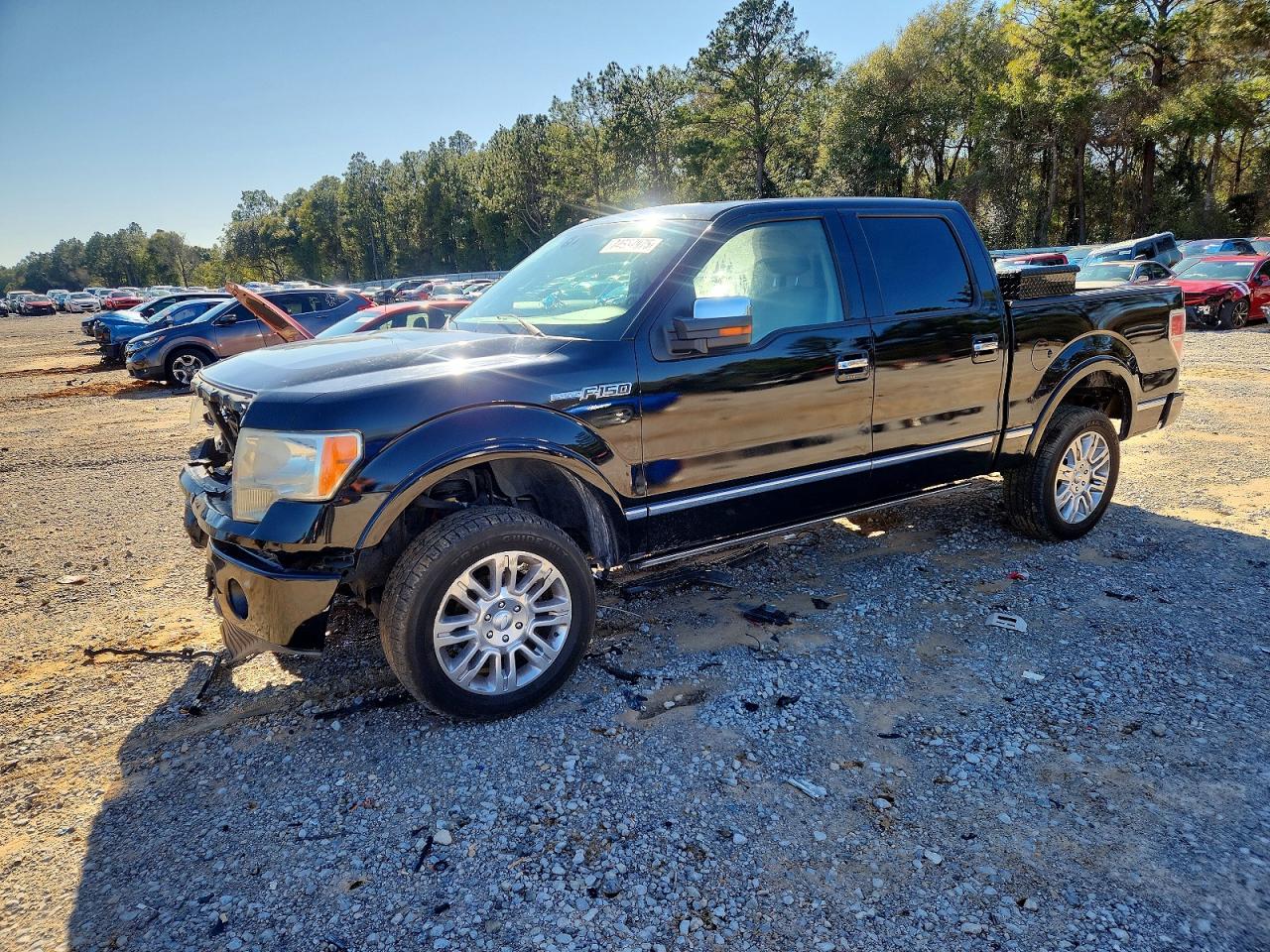 Salvage Ford F-150 Image