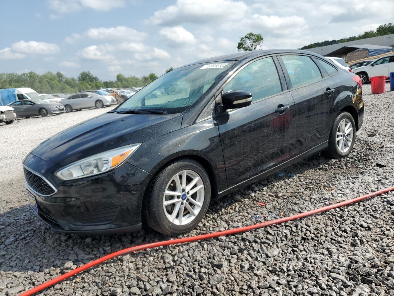 Salvage Ford Focus Image
