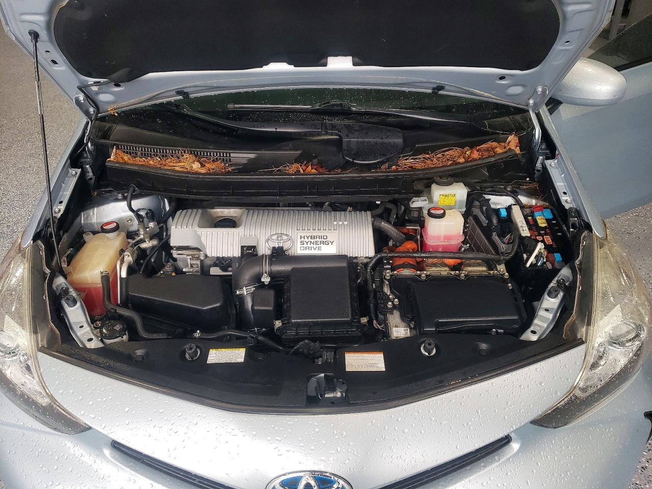 Toyota Prius v Four