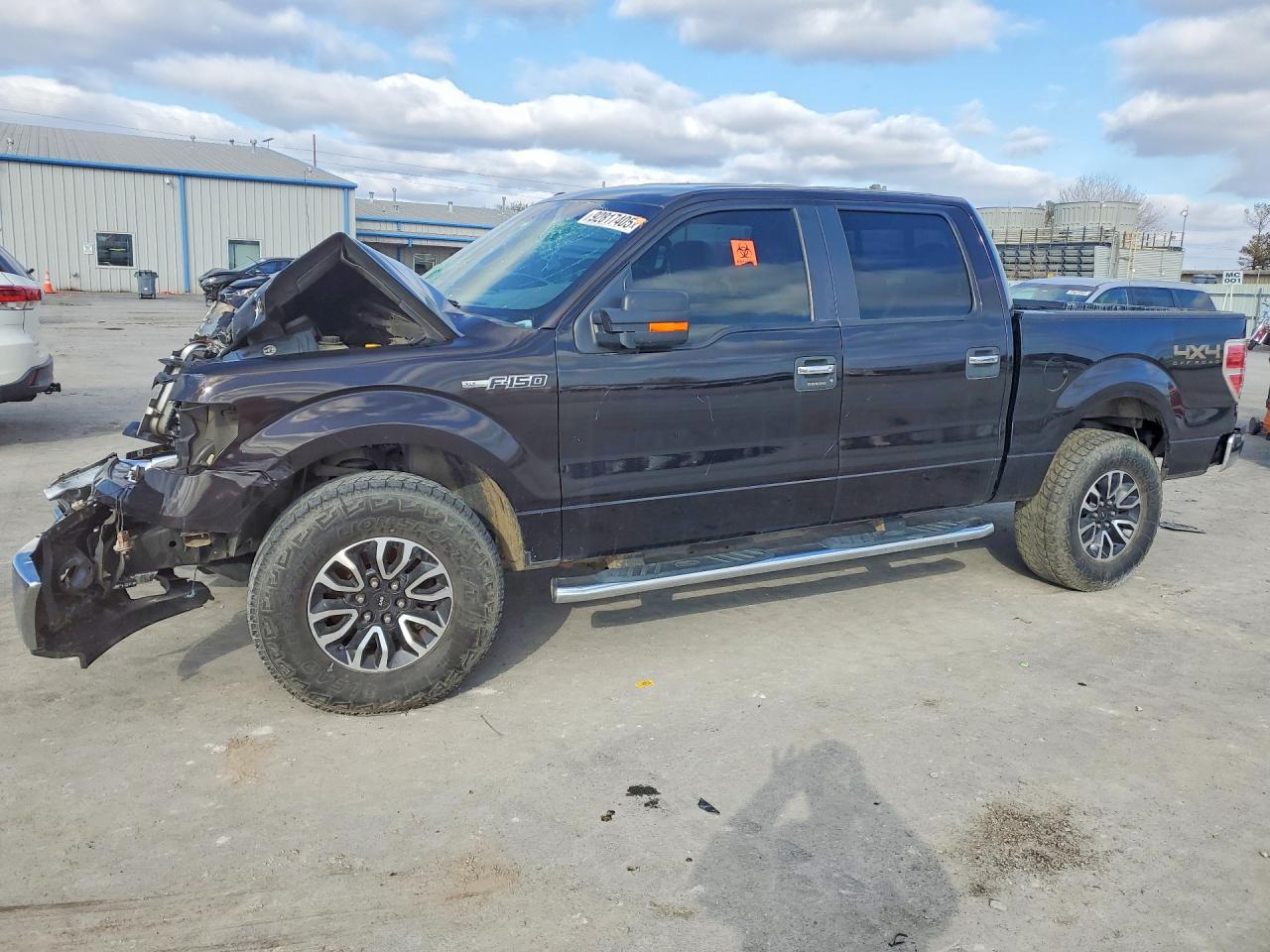 Salvage Ford F-150 Image