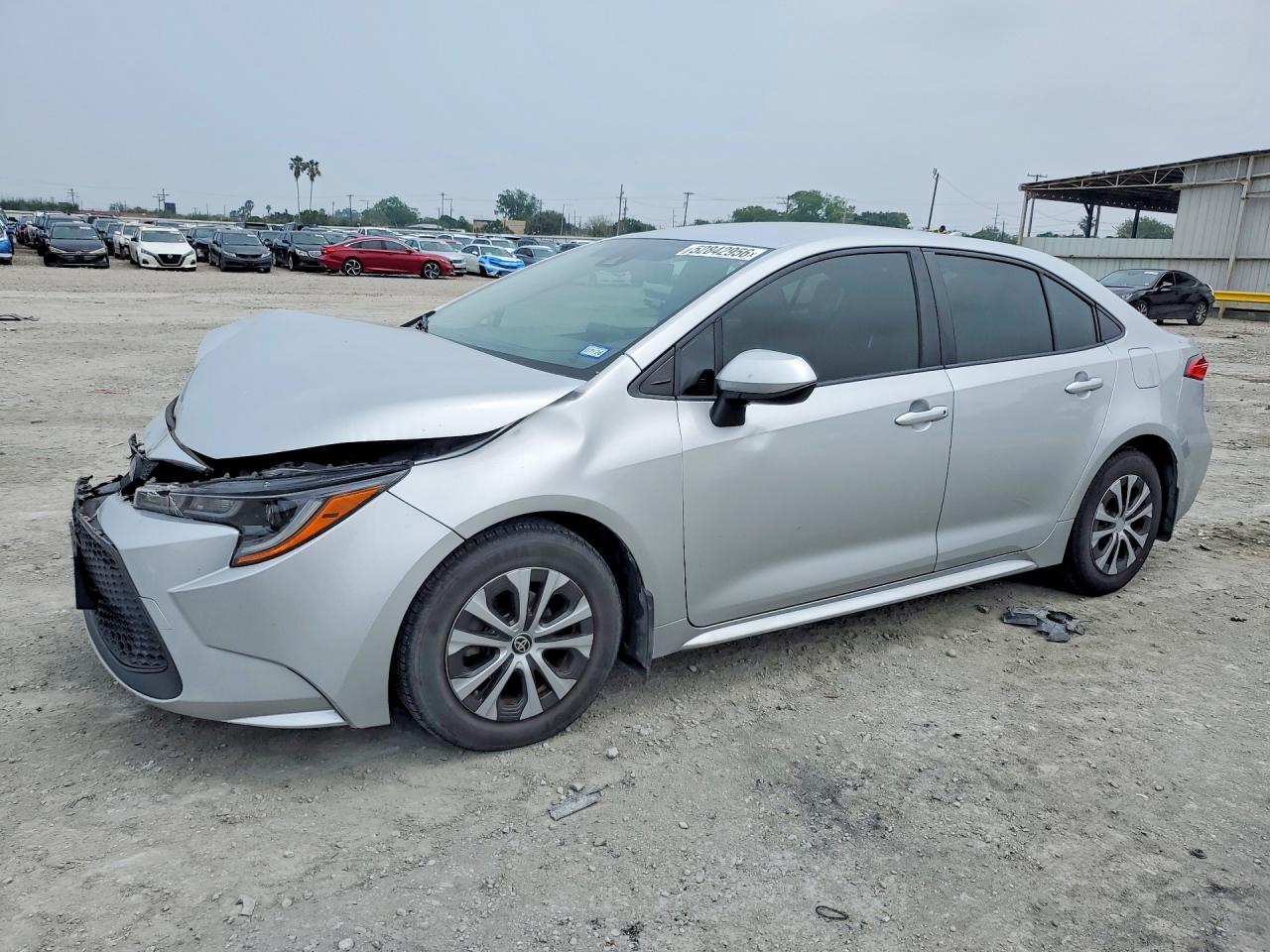 Salvage Toyota Corolla Image