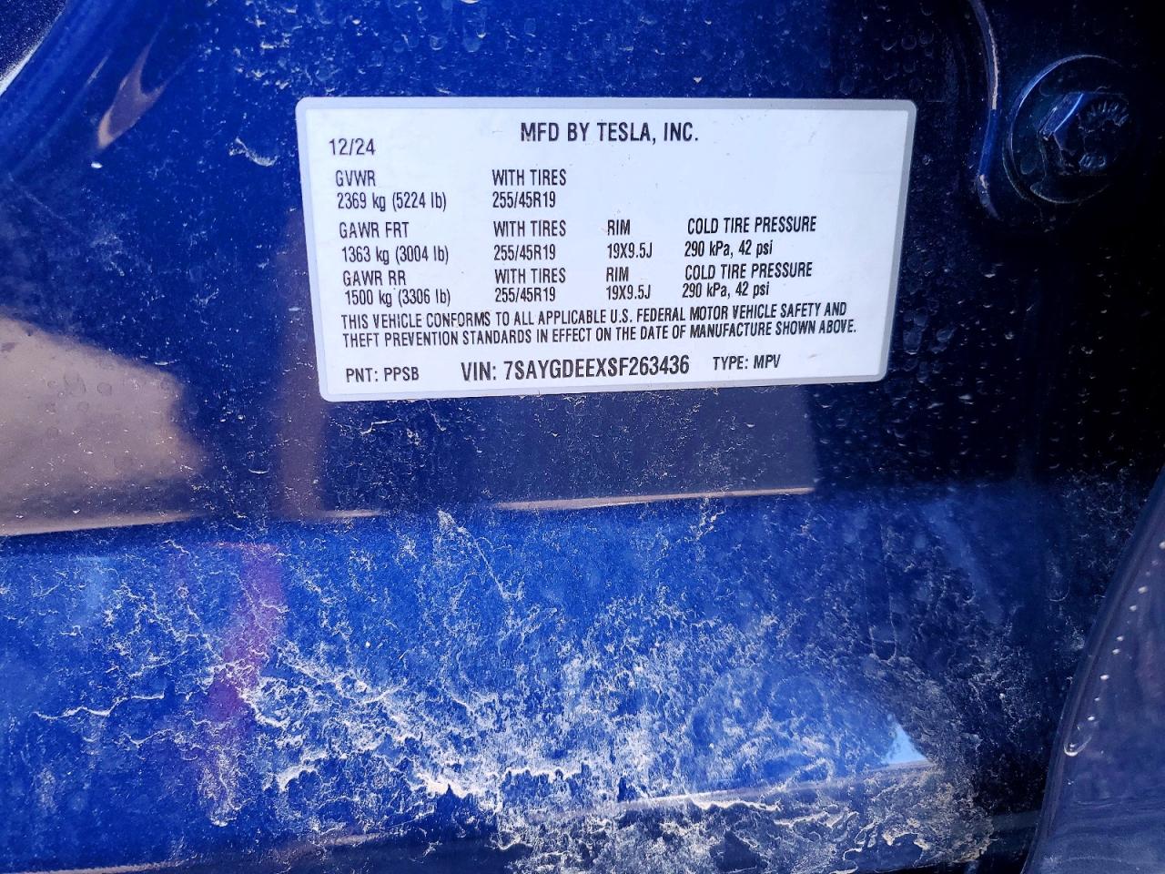Tesla Model Y