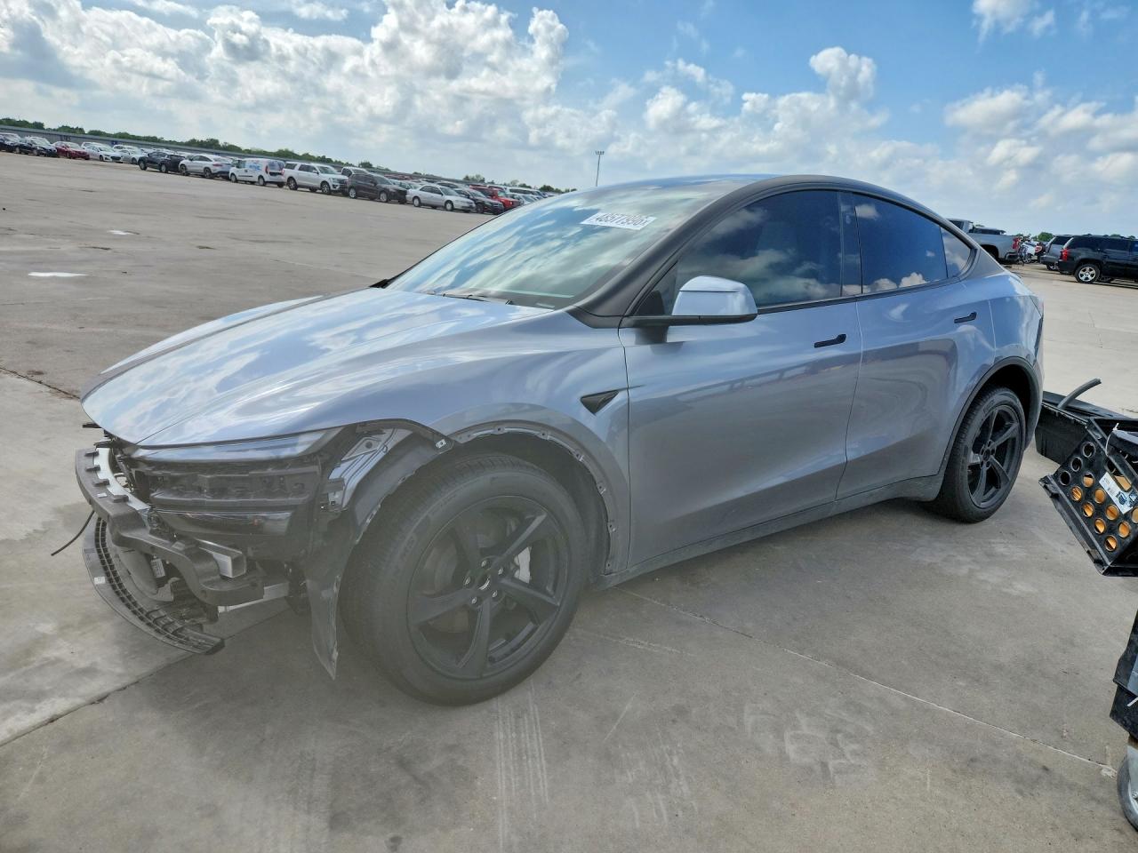 Salvage Tesla Model Y Image