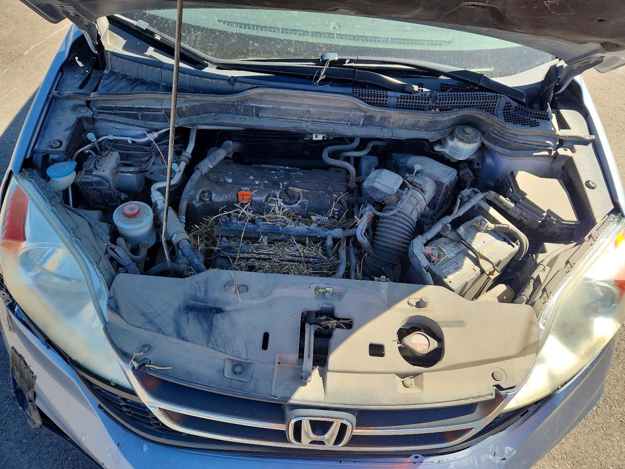 Honda Crv