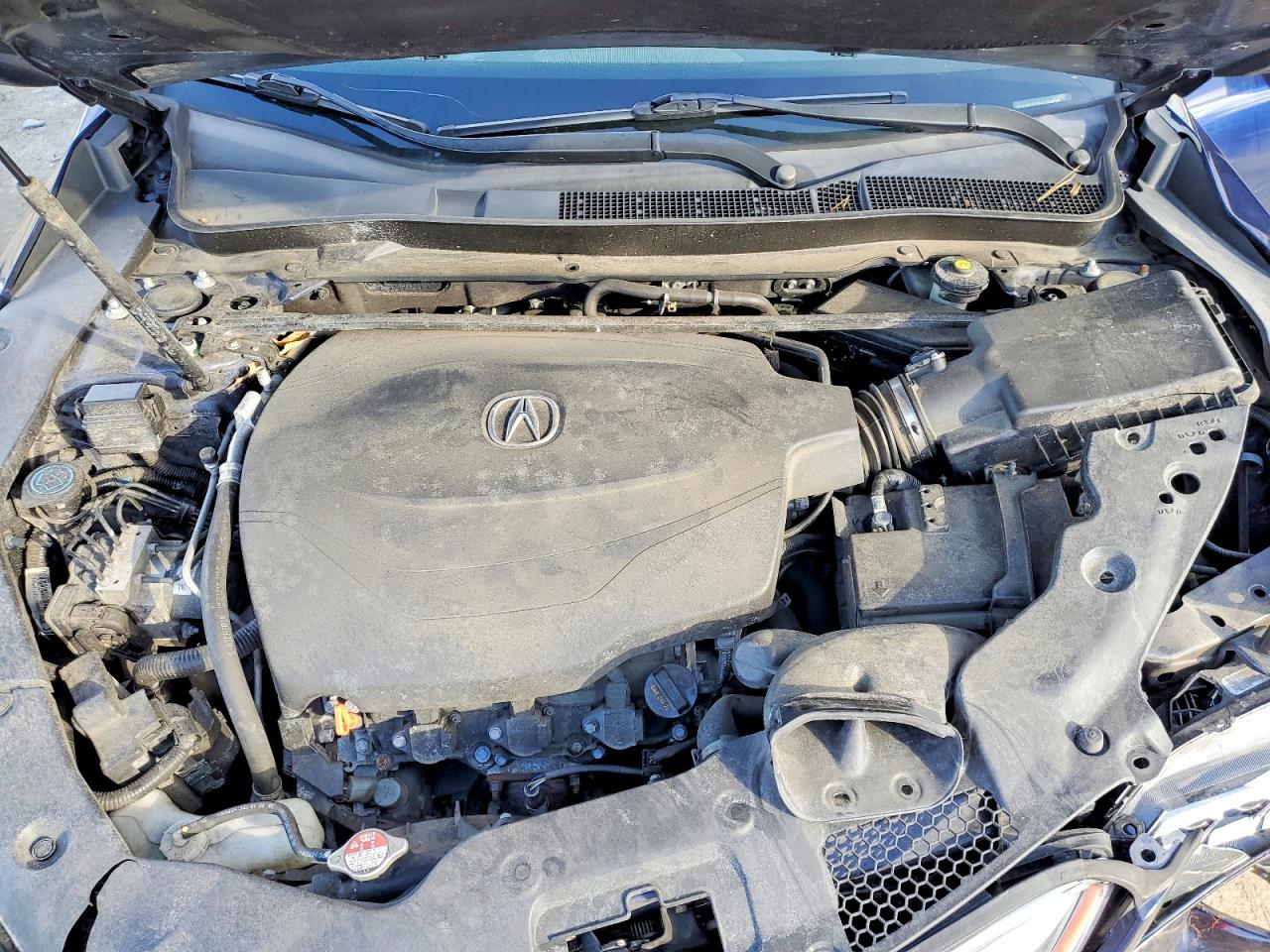 Acura TLX