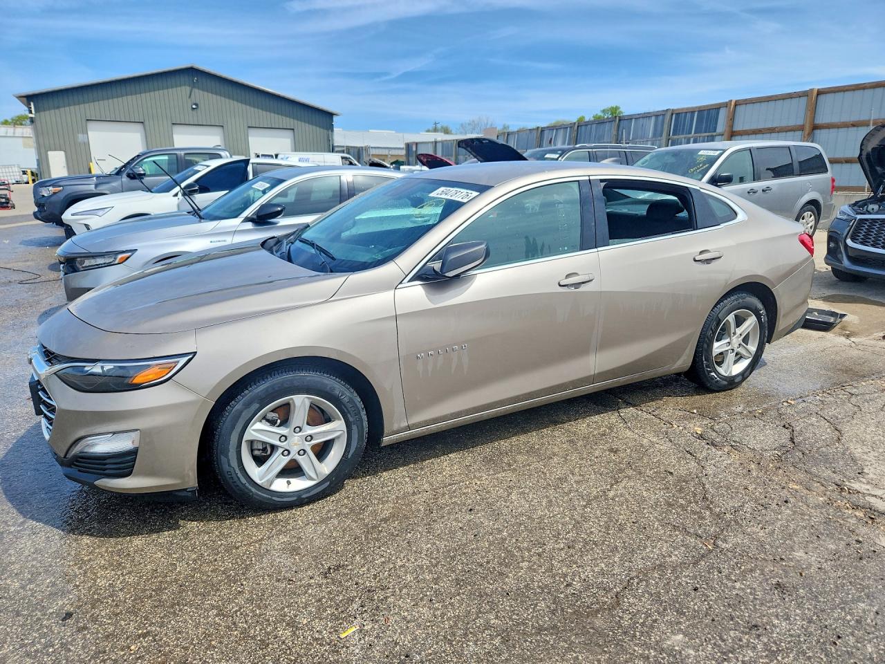 Salvage Chevrolet Malibu Image
