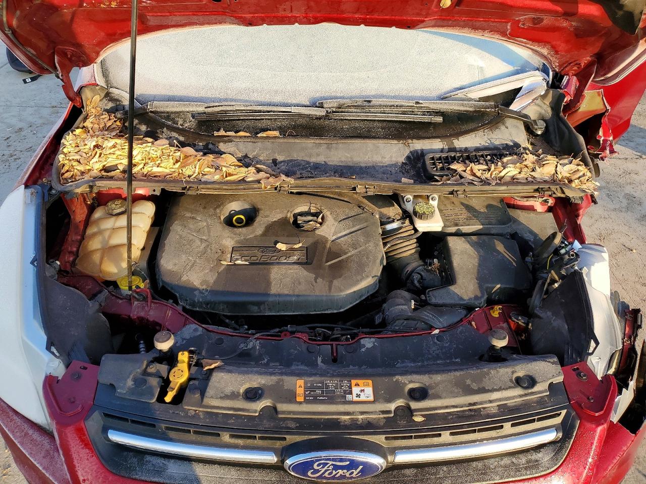 Ford Escape Se
