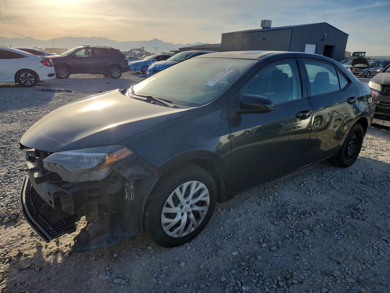 Salvage Toyota Corolla Image