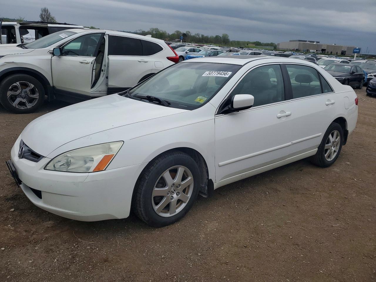 Salvage Honda Accord Image