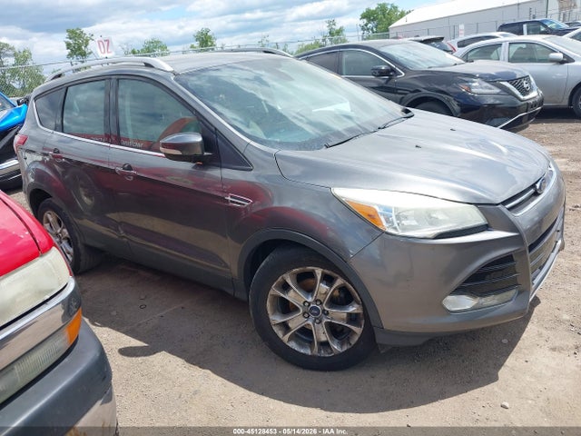 Salvage Ford Escape Image