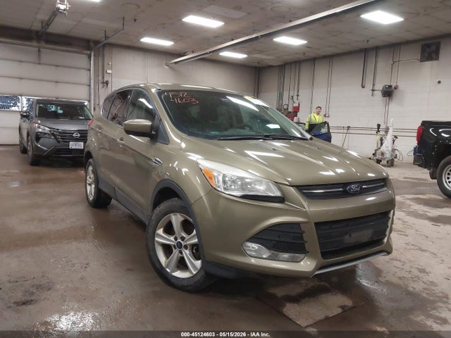Salvage Ford Escape Image