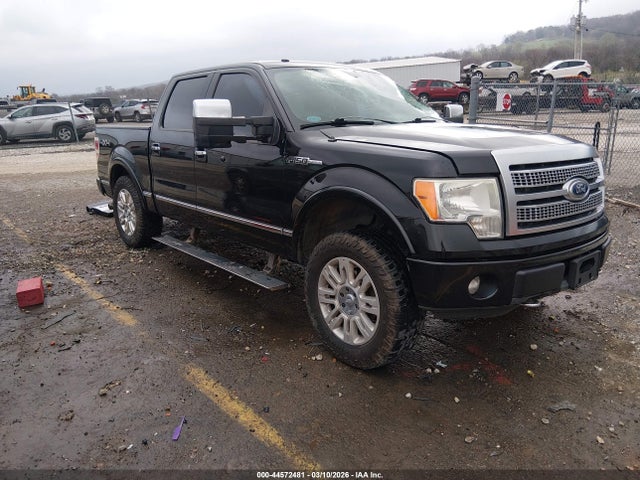 Salvage Ford F-150 Image