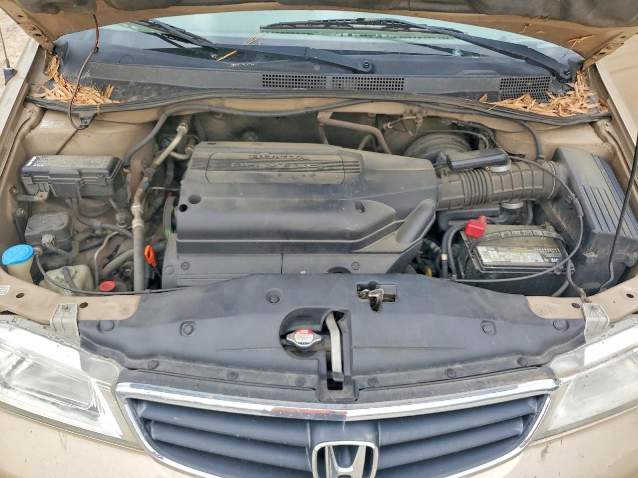 Honda Odyssey Lx