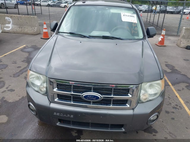 Ford Escape Xlt