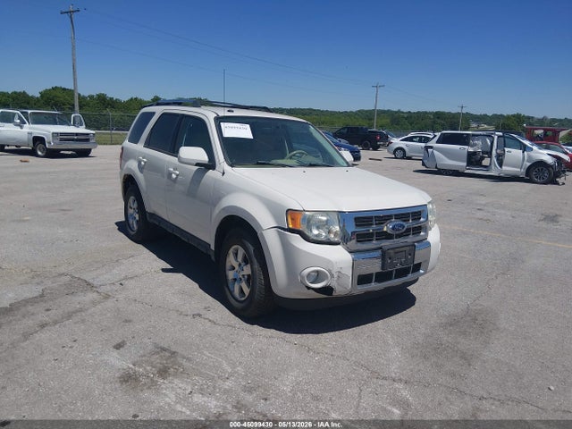 Salvage Ford Escape Image