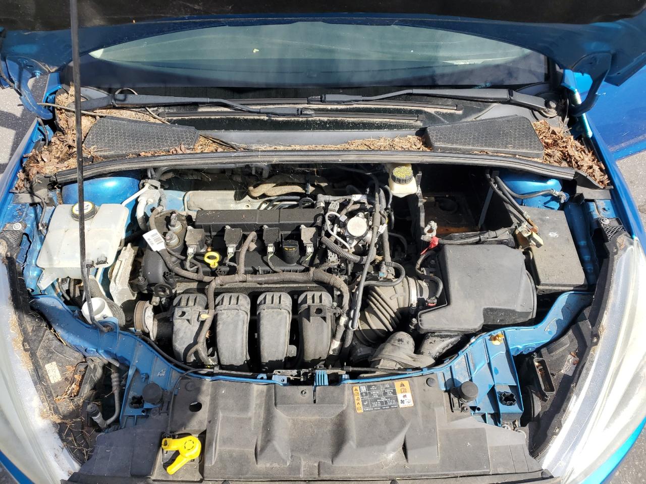 Ford Focus Se
