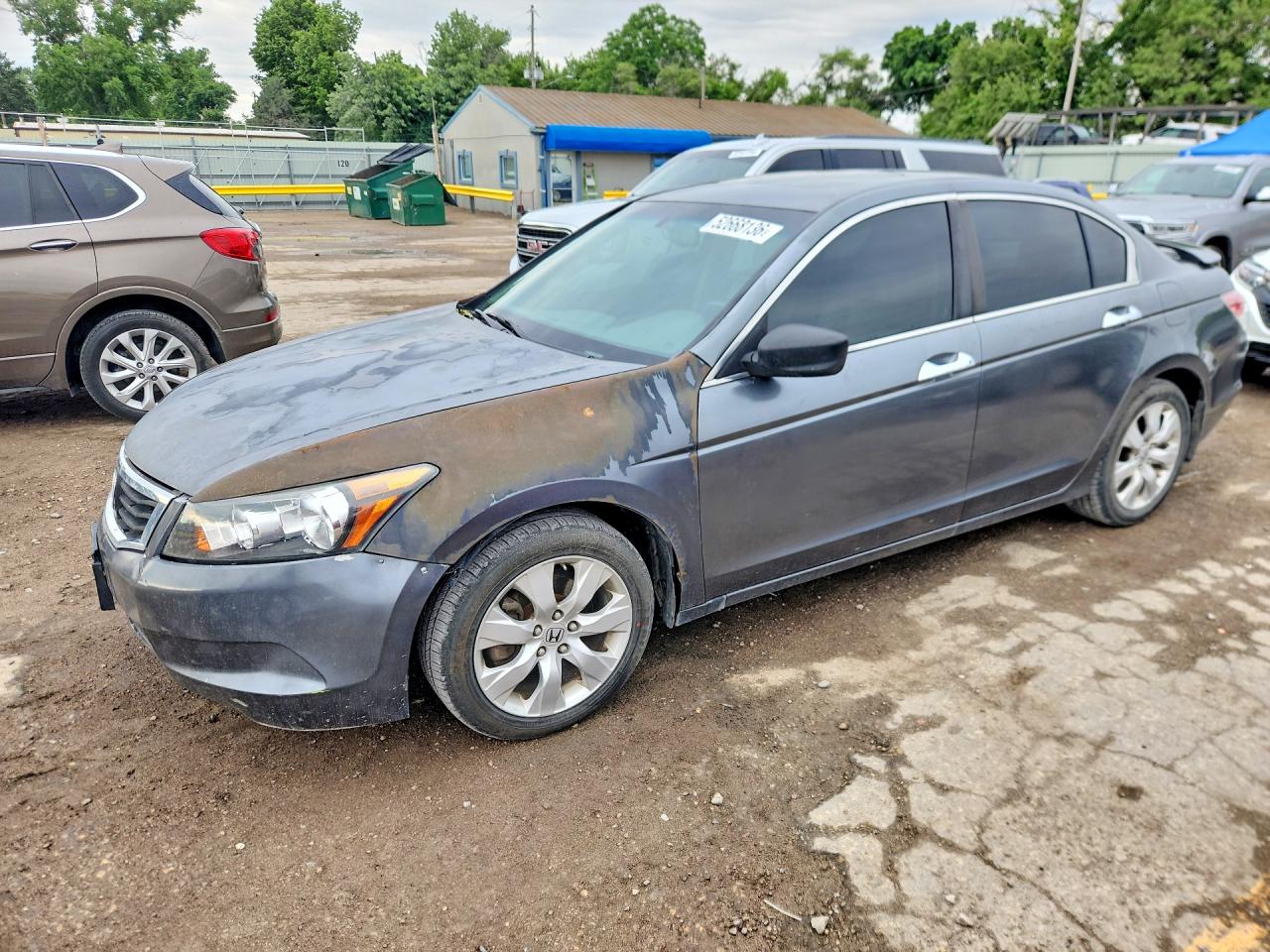 Salvage Honda Accord Image