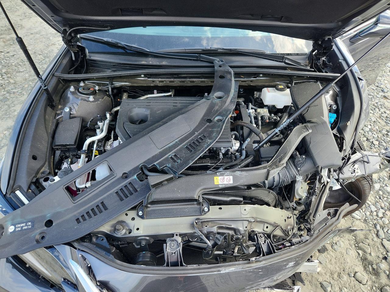 Lexus Es Ultra Luxury