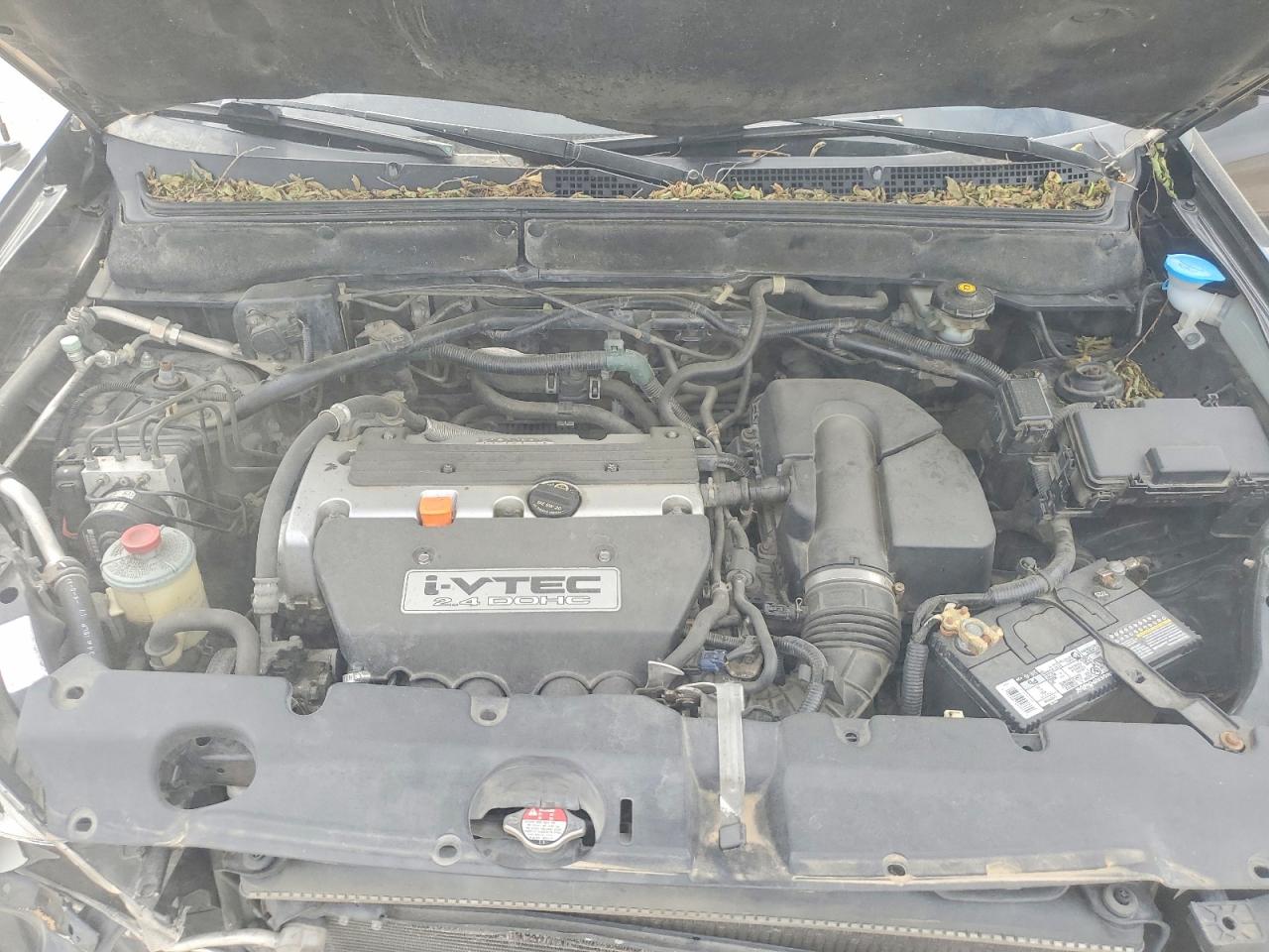 Honda Crv Se