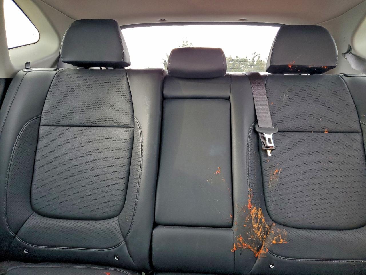 Kia Seltos Ex