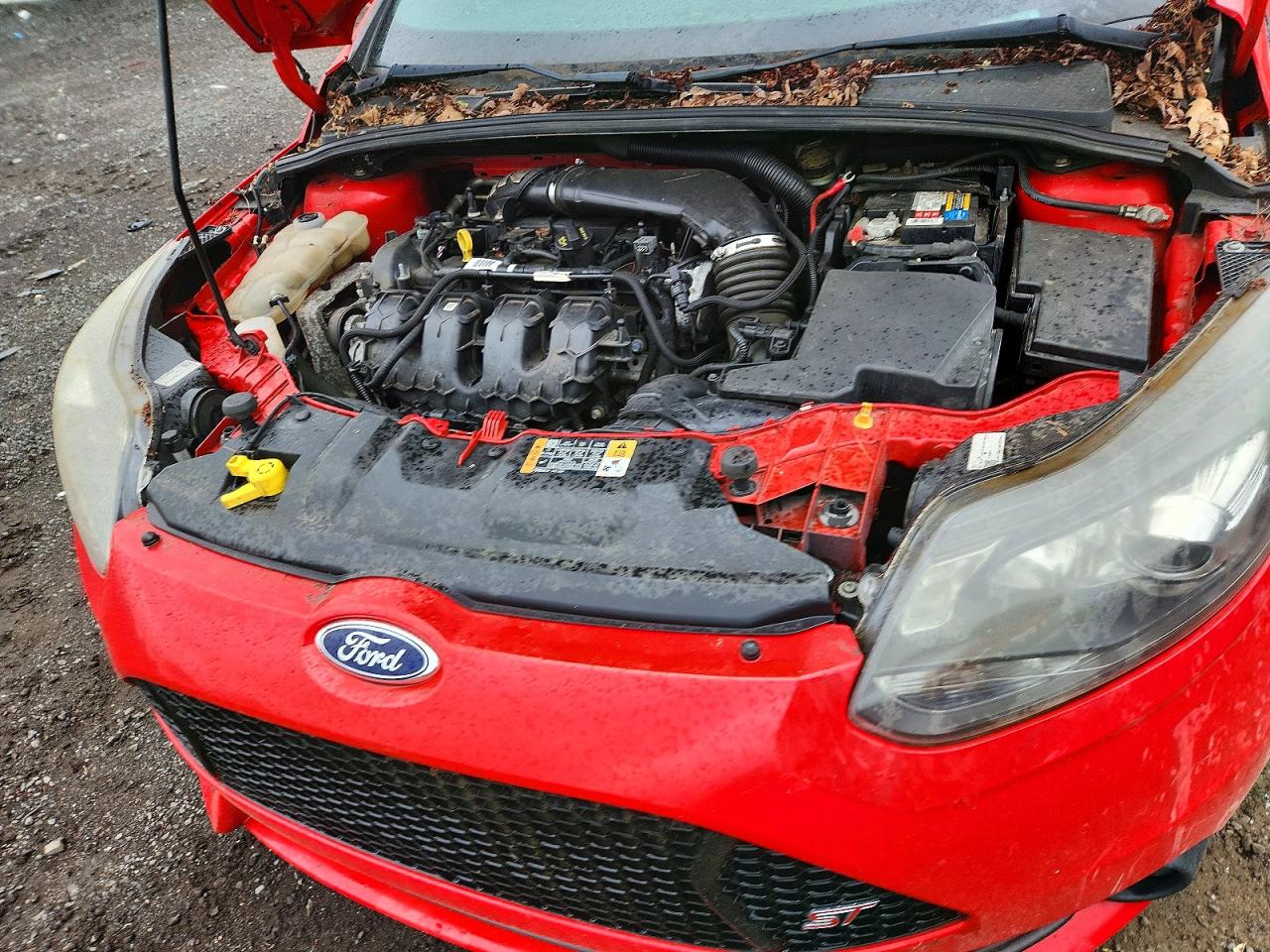 Ford Focus St