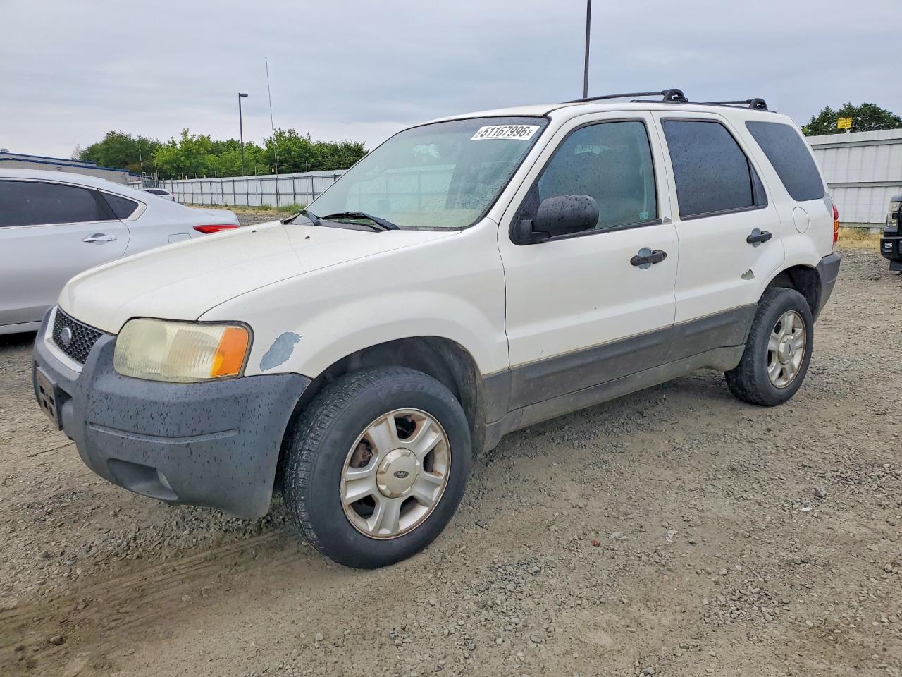 Salvage Ford Escape Image