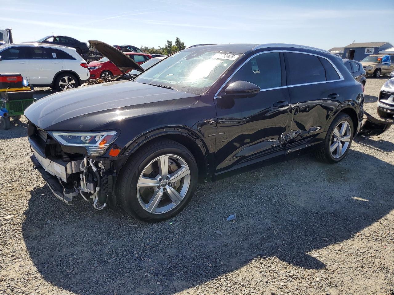Salvage Audi e-tron Image