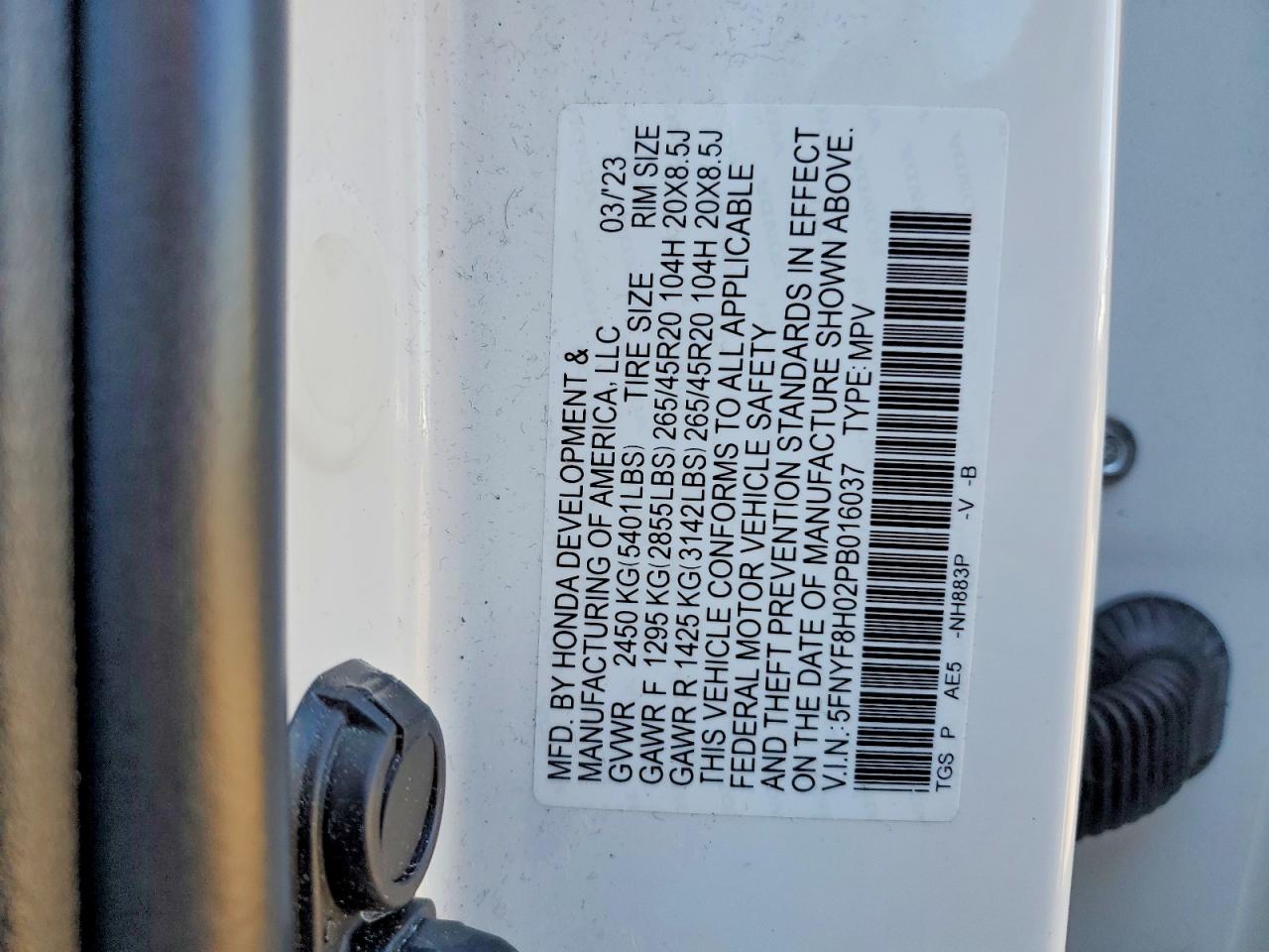 Honda Passport Elite