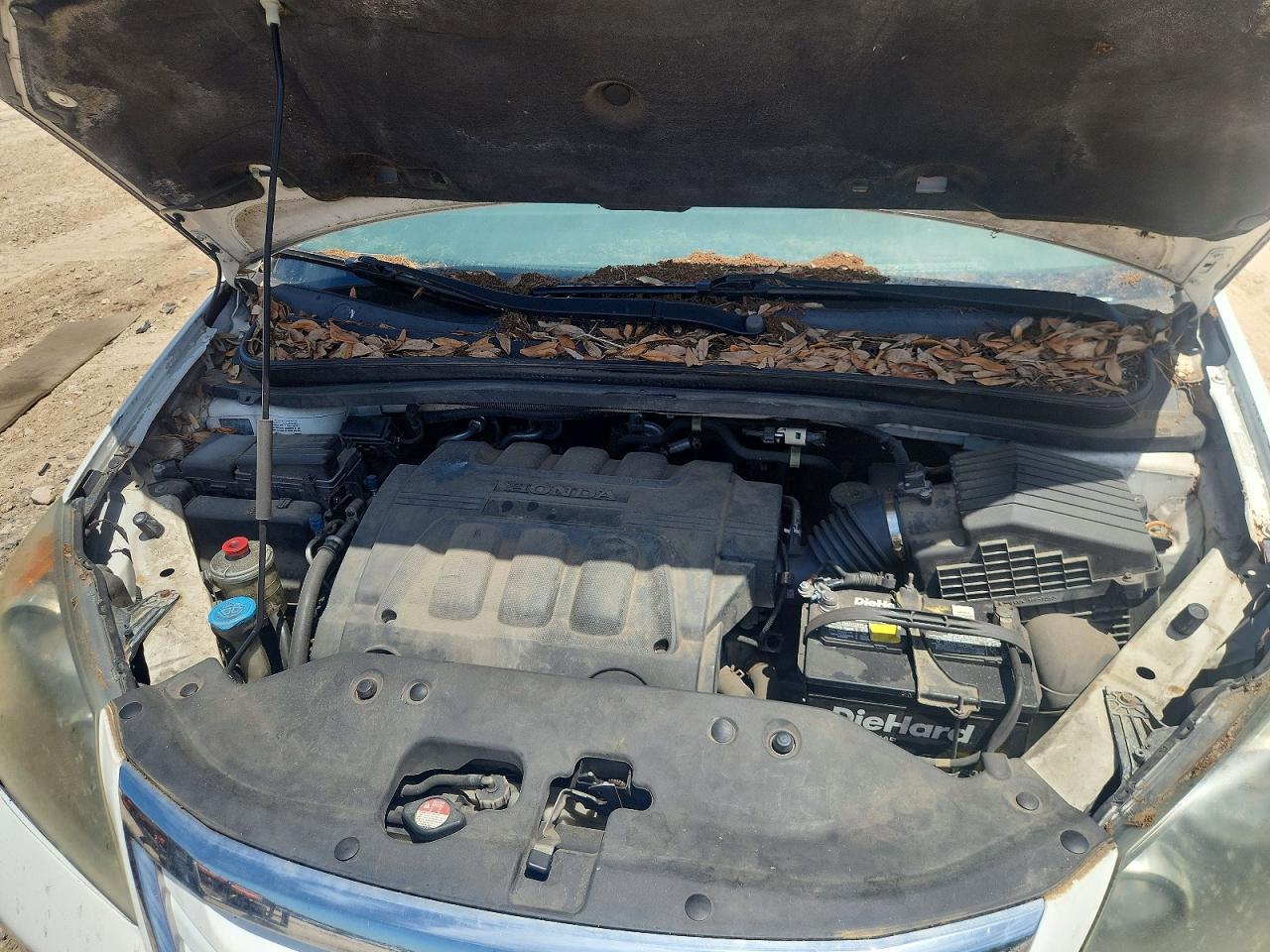 Honda Odyssey Exl