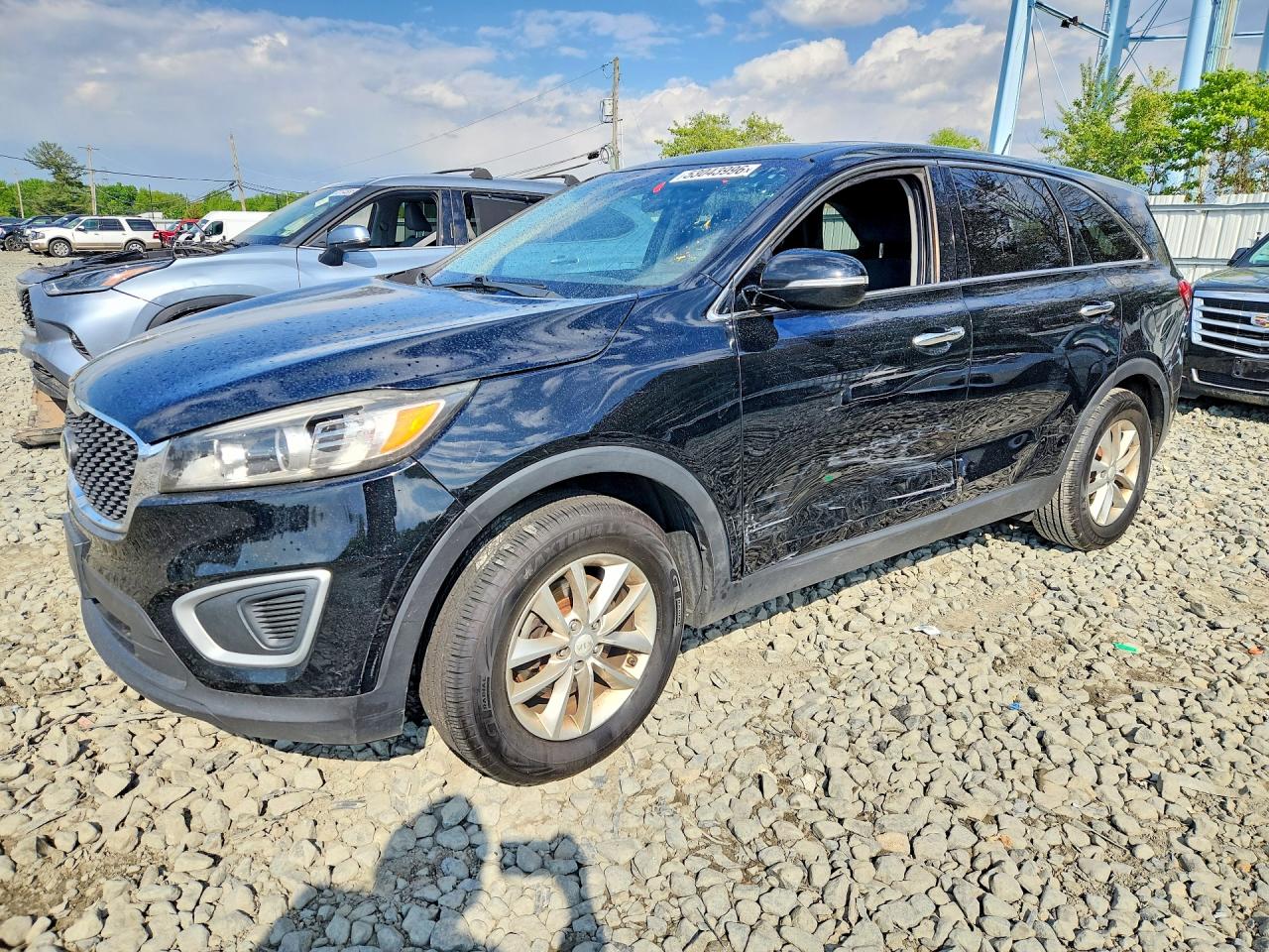 Salvage Kia Sorento Image