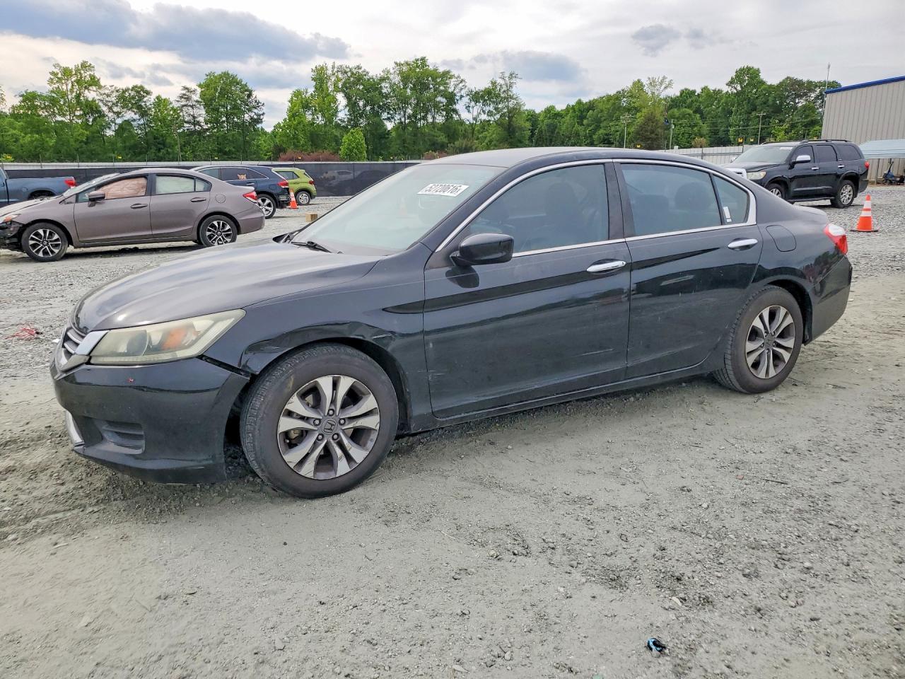 Salvage Honda Accord Image