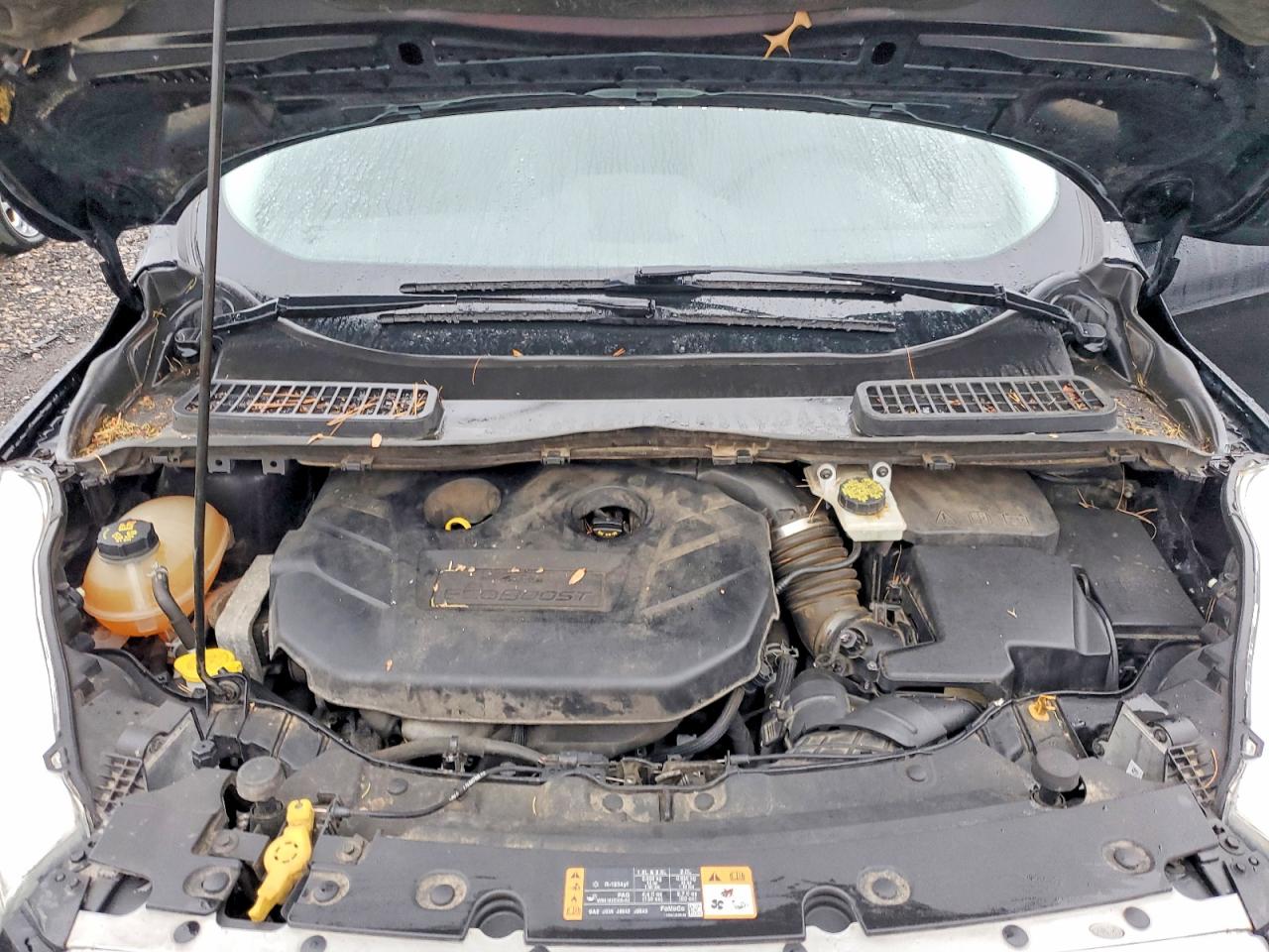 Ford Escape Se