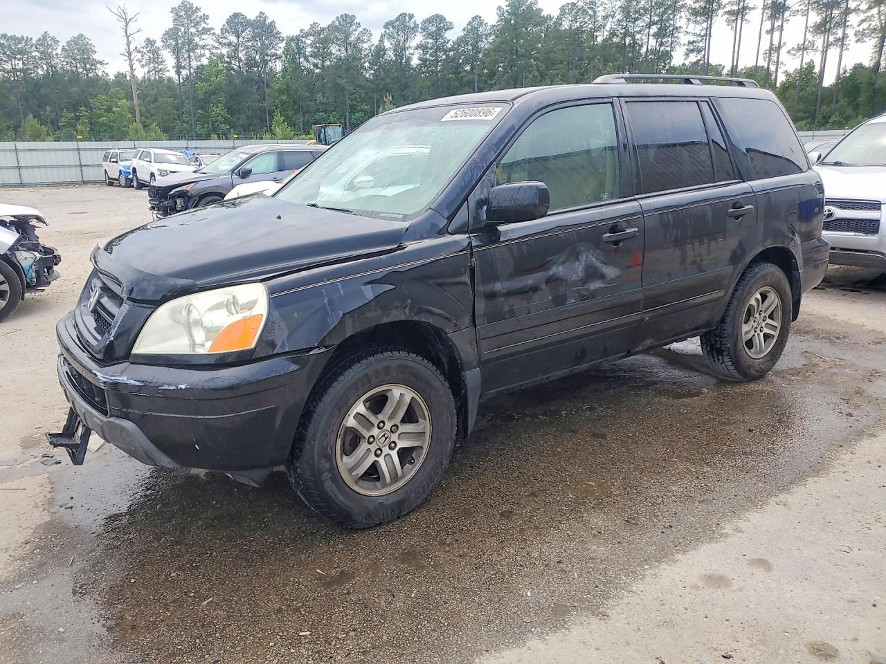 Salvage Honda Pilot Image