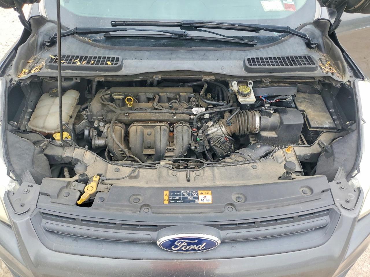 Ford Escape S